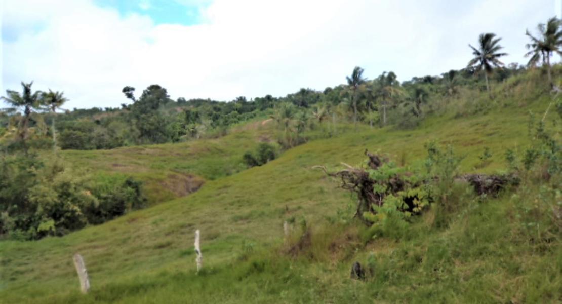 Agricultural freehold land, Fiji SouthPacificRealEstate